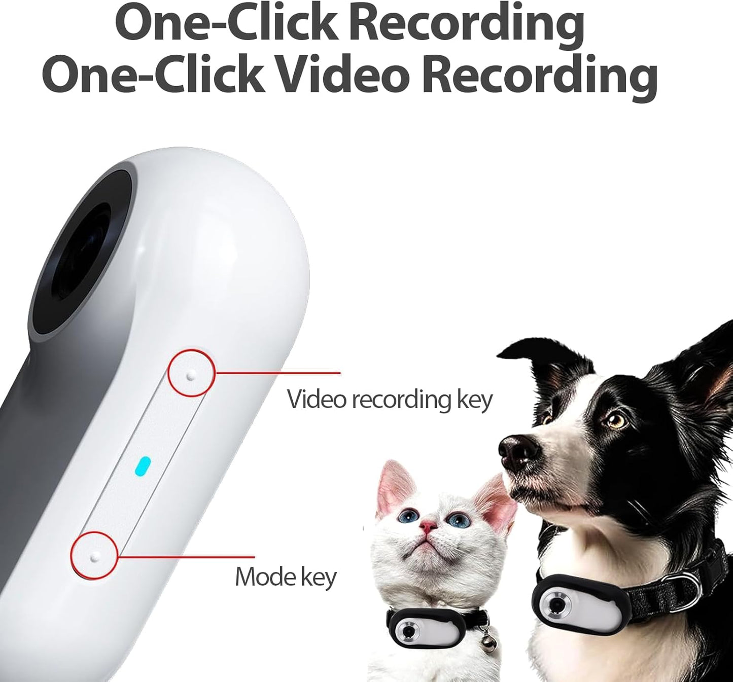 1080P HD Pet Camera Collar – Wide Angle, USB Rechargeable Cat & Dog Camera (Adjustable Strap)