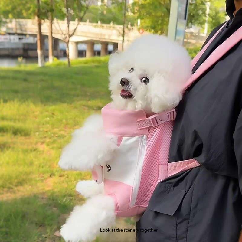 Cute Pet Front Carrier Backpack – Hands-Free Travel Bag for Small Dogs & Cats