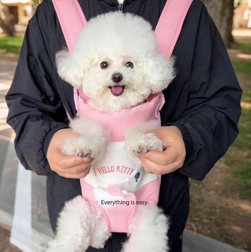 Cute Pet Front Carrier Backpack – Hands-Free Travel Bag for Small Dogs & Cats